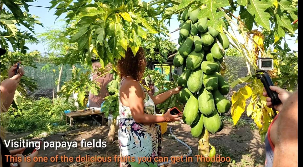 Thoddoo Beach Holiday Dış mekan fotoğraf