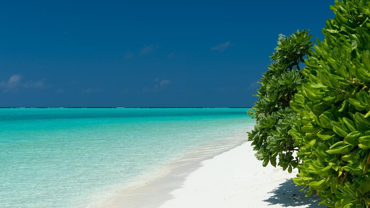Thoddoo Beach Holiday Dış mekan fotoğraf