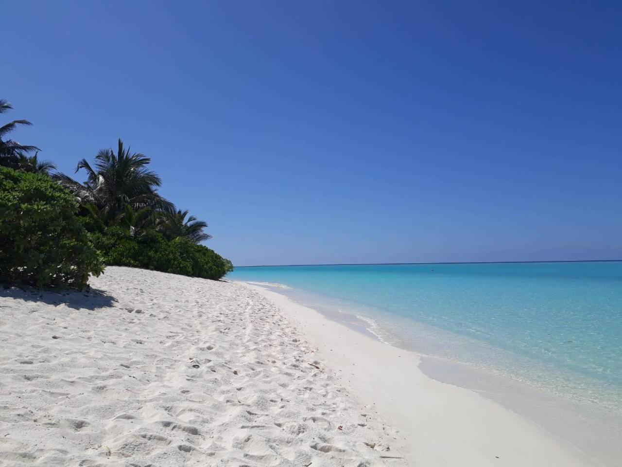 Thoddoo Beach Holiday Dış mekan fotoğraf