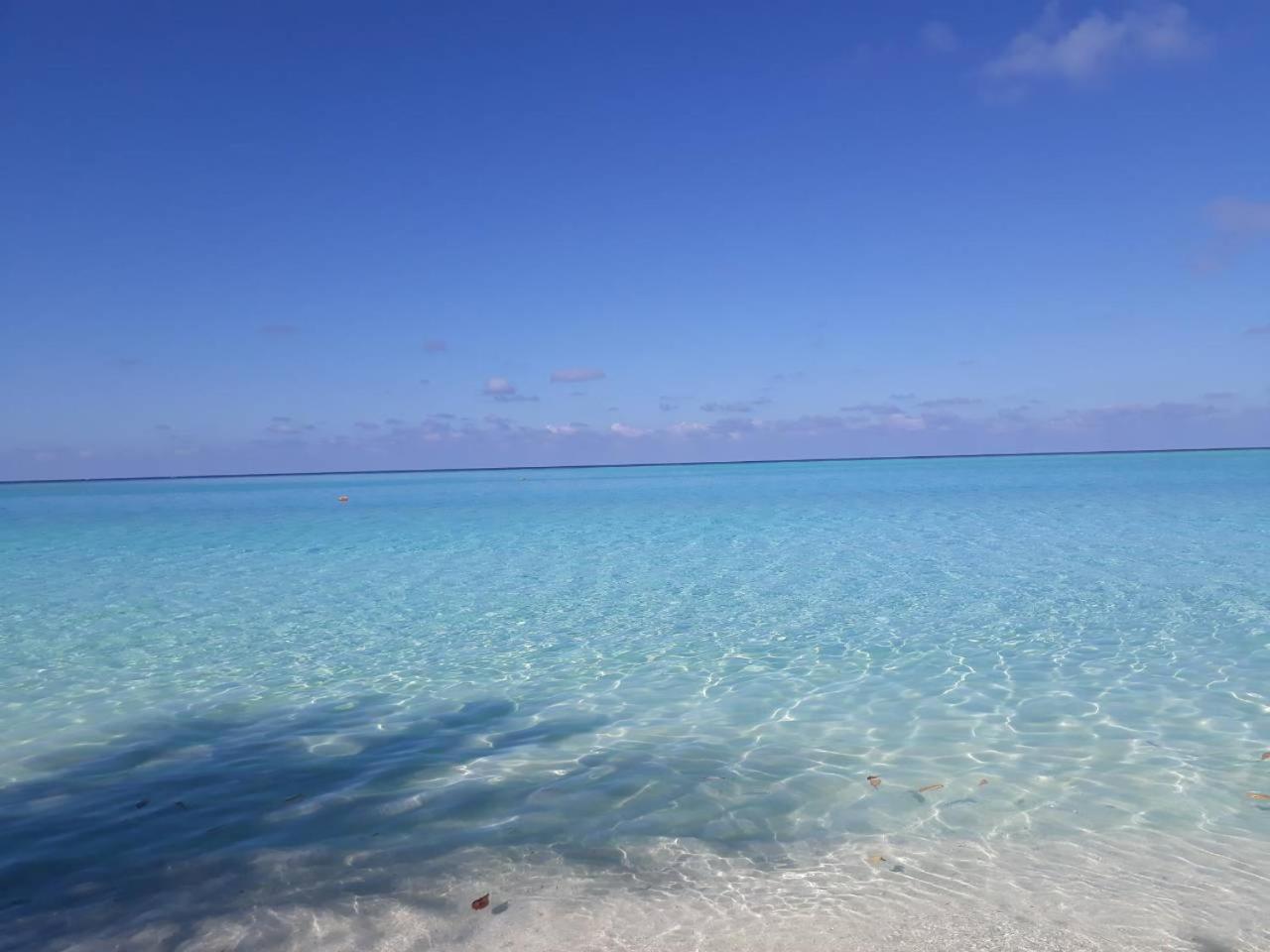 Thoddoo Beach Holiday Dış mekan fotoğraf