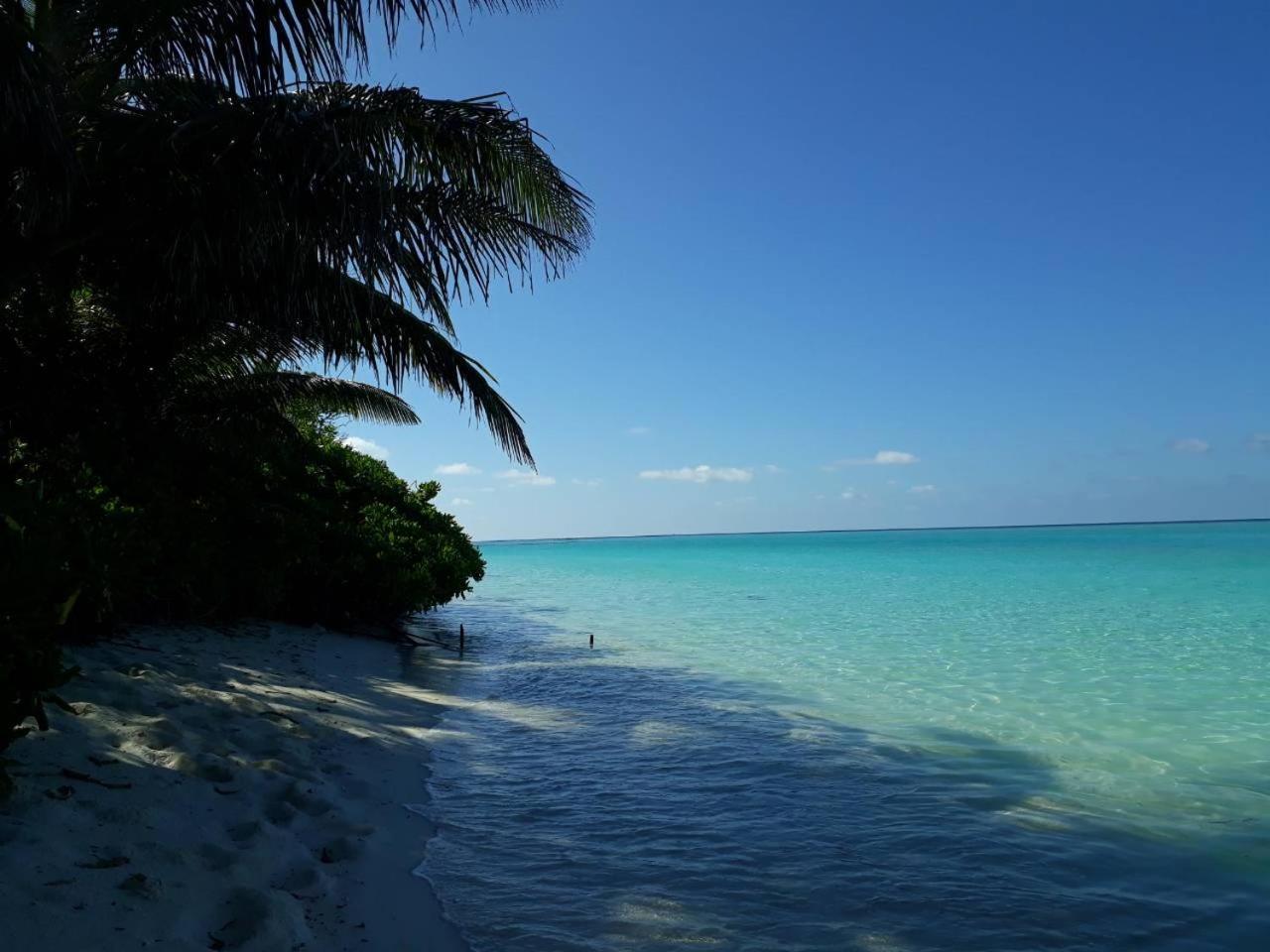 Thoddoo Beach Holiday Dış mekan fotoğraf