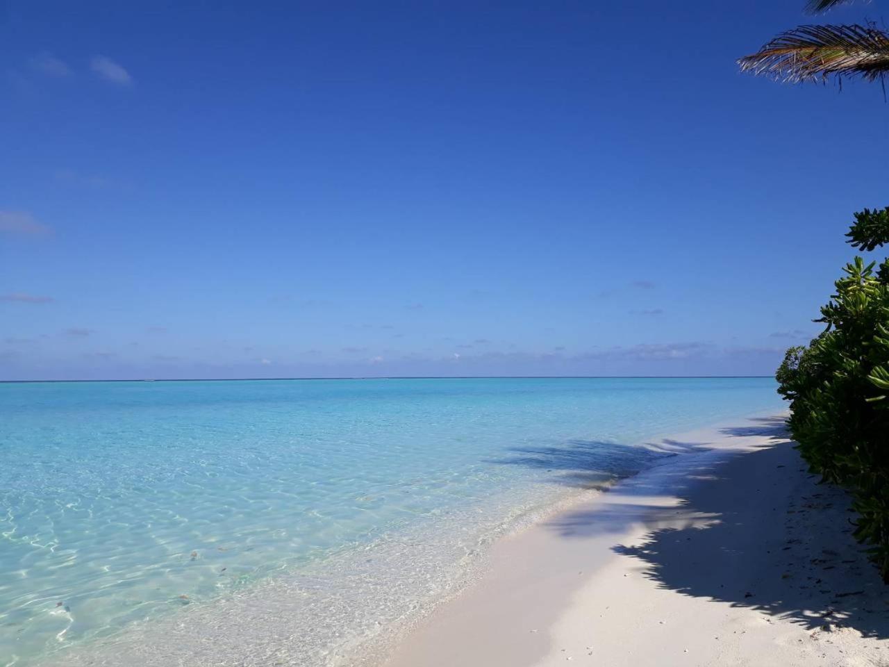 Thoddoo Beach Holiday Dış mekan fotoğraf